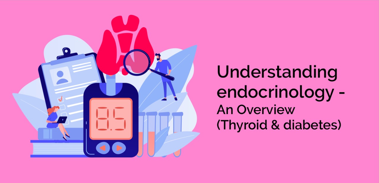 Understanding Endocrinology - An Overview (Thyroid & diabetes)