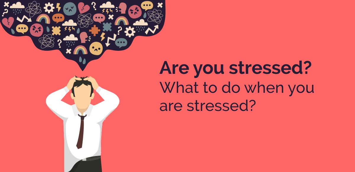 Are you stressed? What to do when you are stressed?