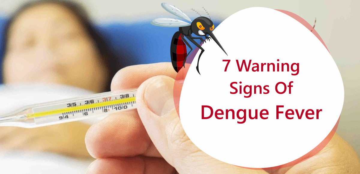 7 Warning Signs Of Dengue Fever
