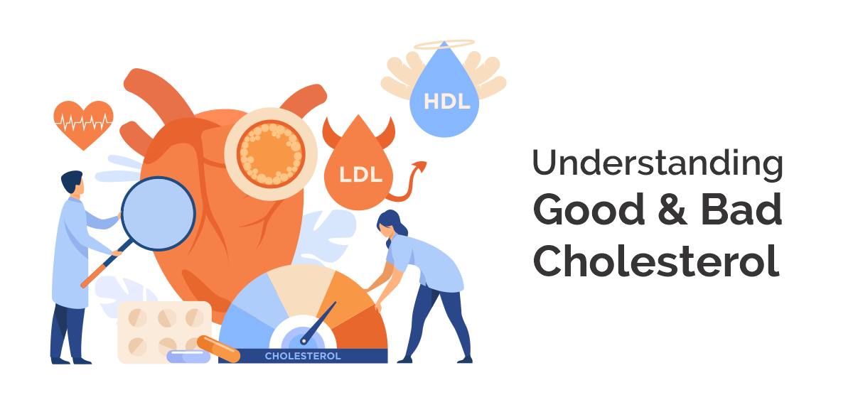 Understanding Good and Bad Cholesterol