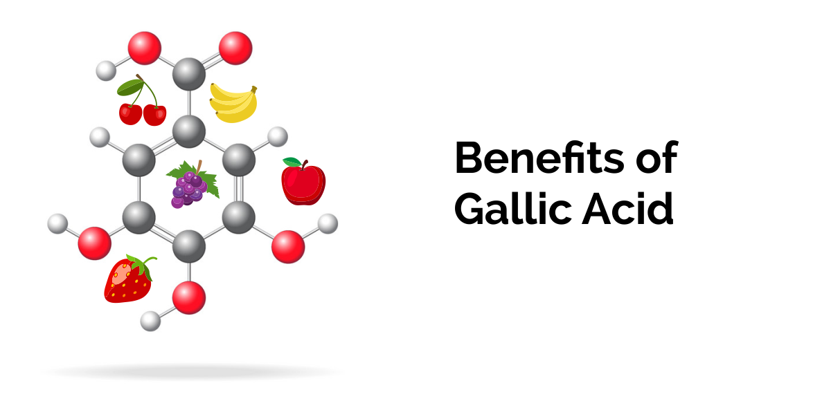 Benefits of Gallic Acid